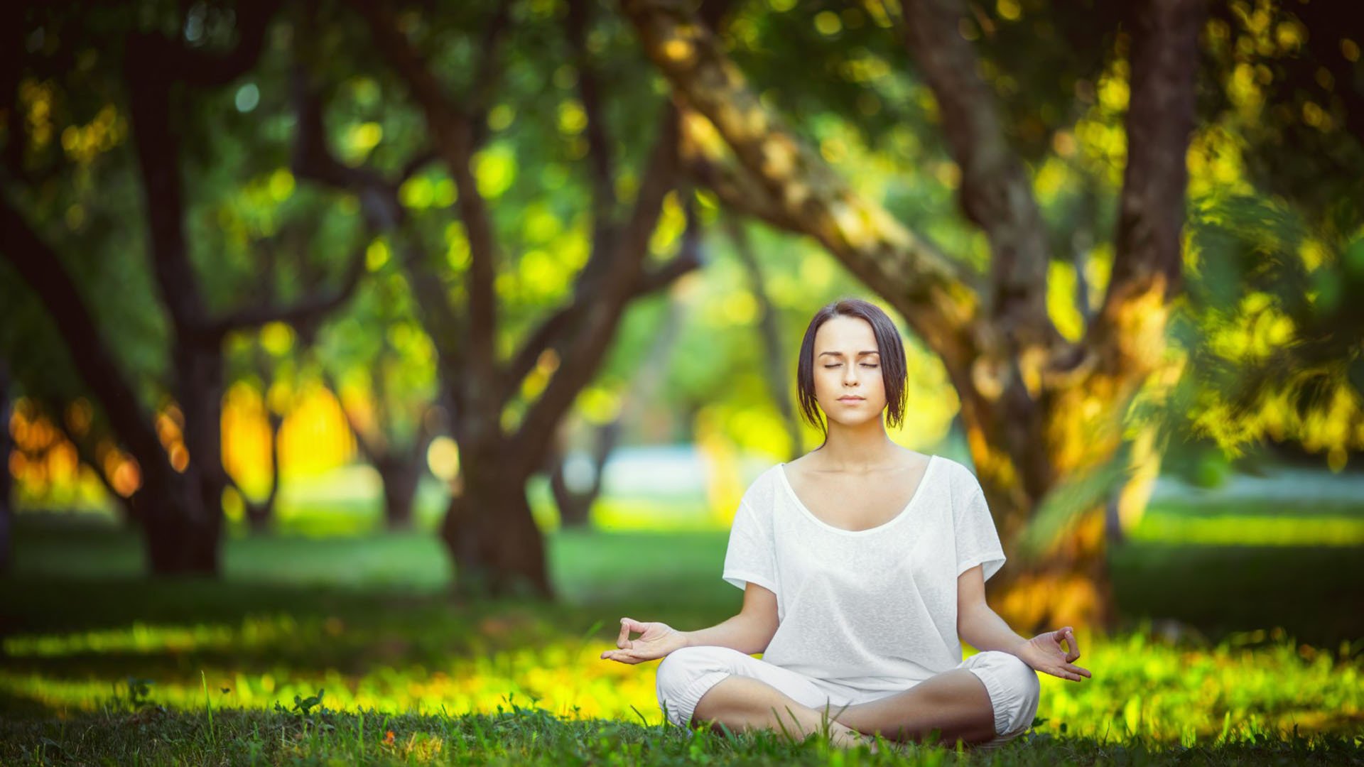 芝加哥公牛吧百度贴吧