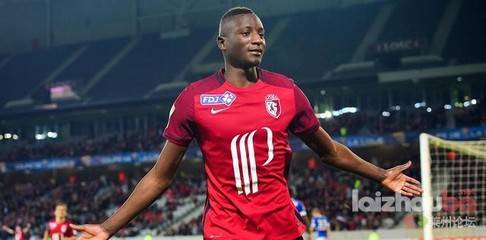 布莱顿伤停情况最新