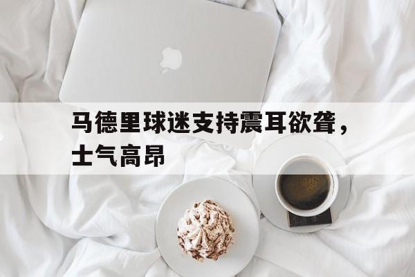 九游娱乐-马德里竞技球迷